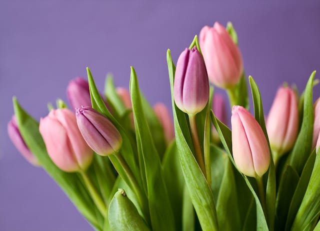 populairste zijden bloemen