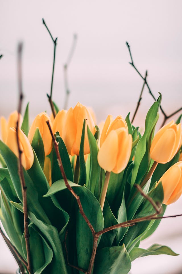 populairste zijden bloemen